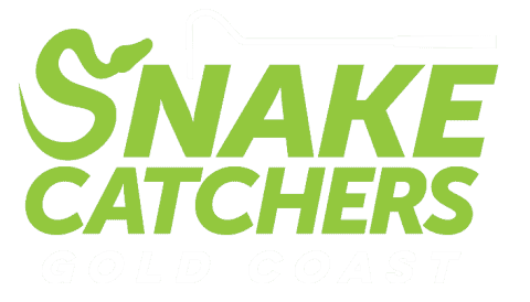 Gold Coast Snake Catchers